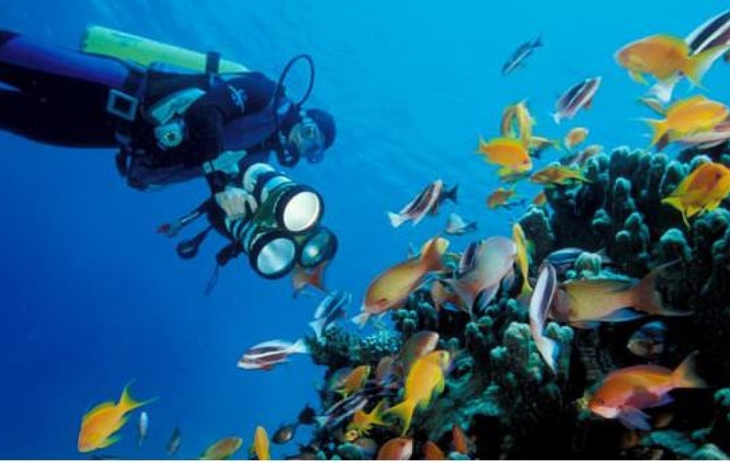 Scuba diver takes pictures of Red Sea reef