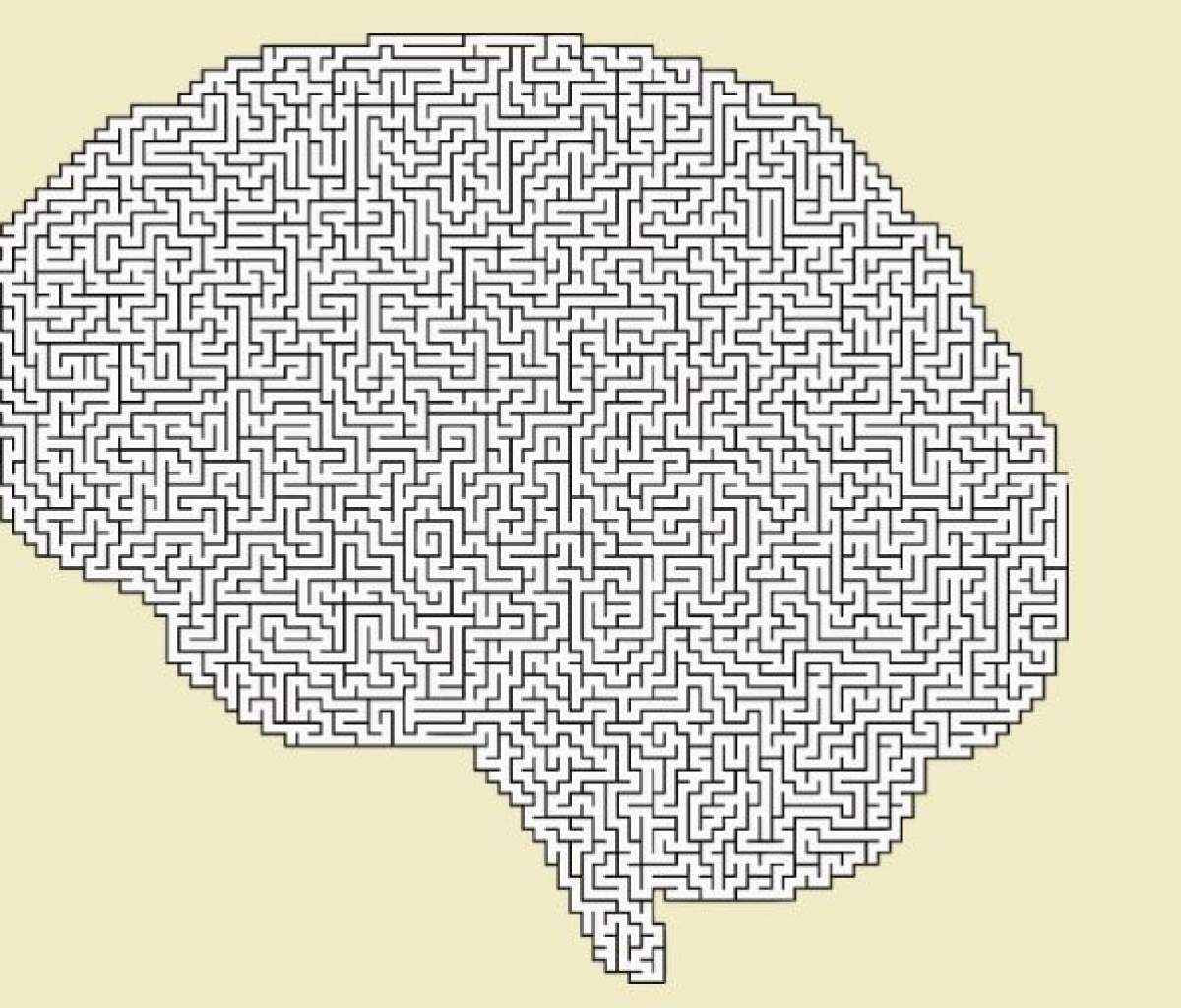 picture of brain with mazes
