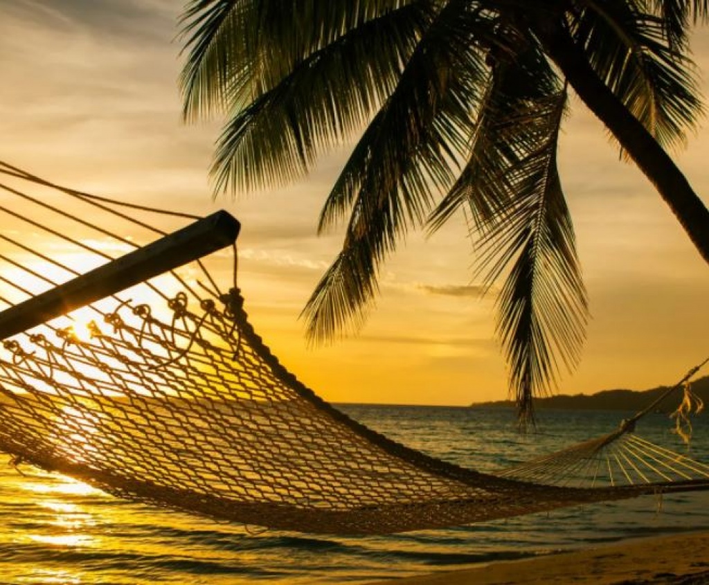 picture of a hammock